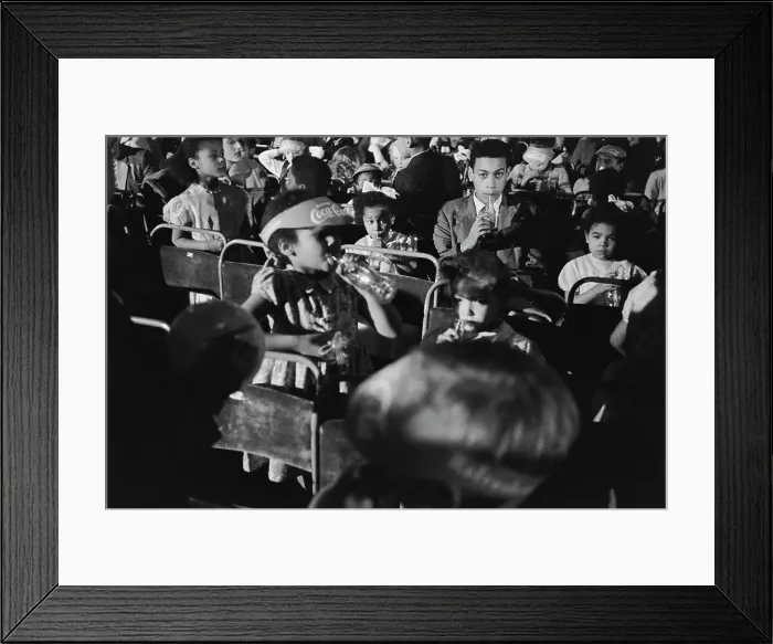 Framed Print : Christmas Show Framed Print : Christmas Show