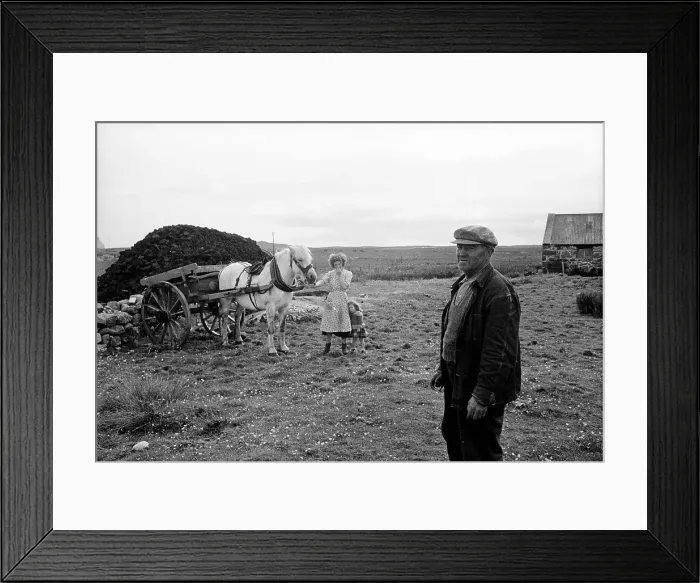 Framed Print : Family Horse Framed Print : Family Horse