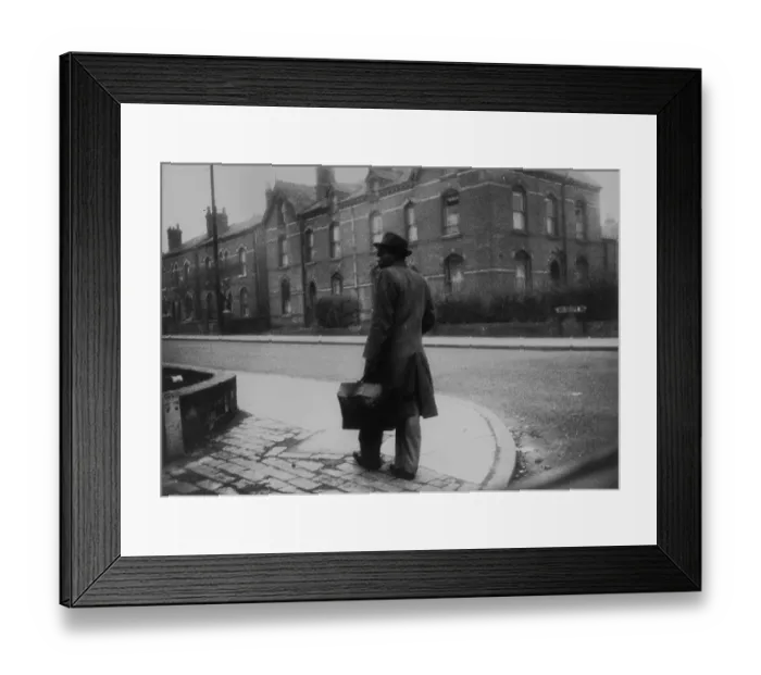 Framed Print : A New Arrival Framed Print : A New Arrival