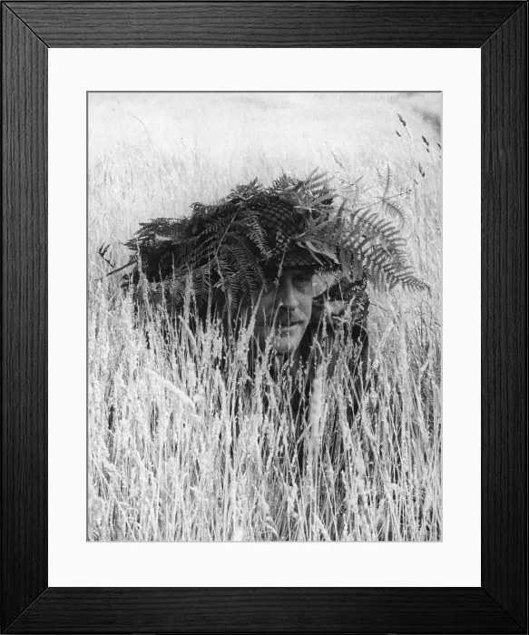 Framed Print : Home Guard Framed Print : Home Guard