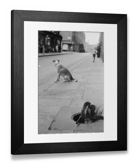 Framed Print : Street Level Shot Framed Print : Street Level Shot