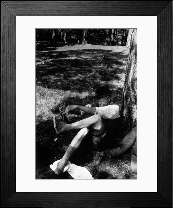 Framed Print : Drying Off Framed Print : Drying Off