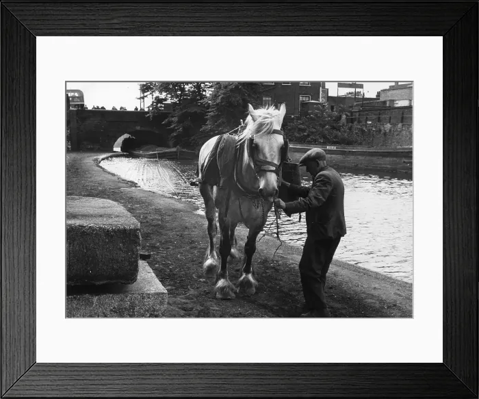Framed Print : Tow Path Power