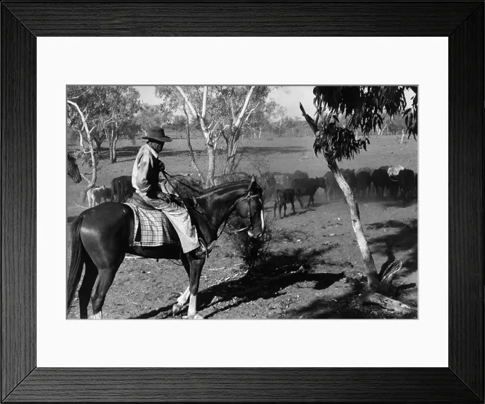 Framed Print : Aussie Rancher Framed Print : Aussie Rancher