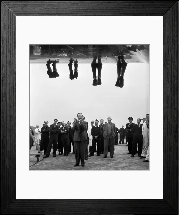 Framed Print : Beauty On The Wing Framed Print : Beauty On The Wing