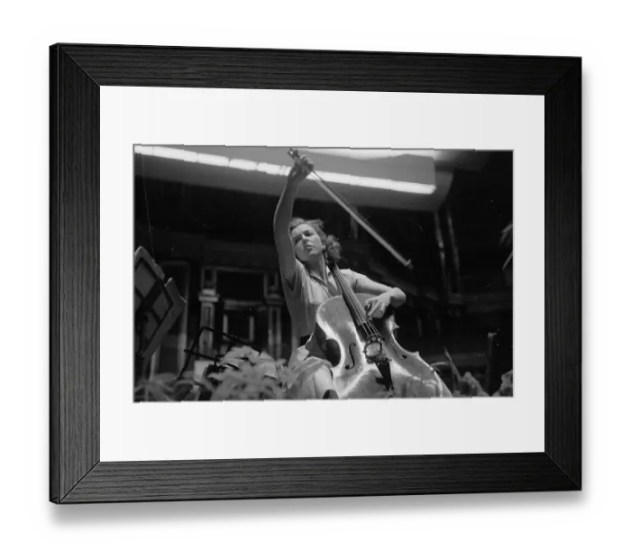 Framed Print : Amaryllis Plays Framed Print : Amaryllis Plays