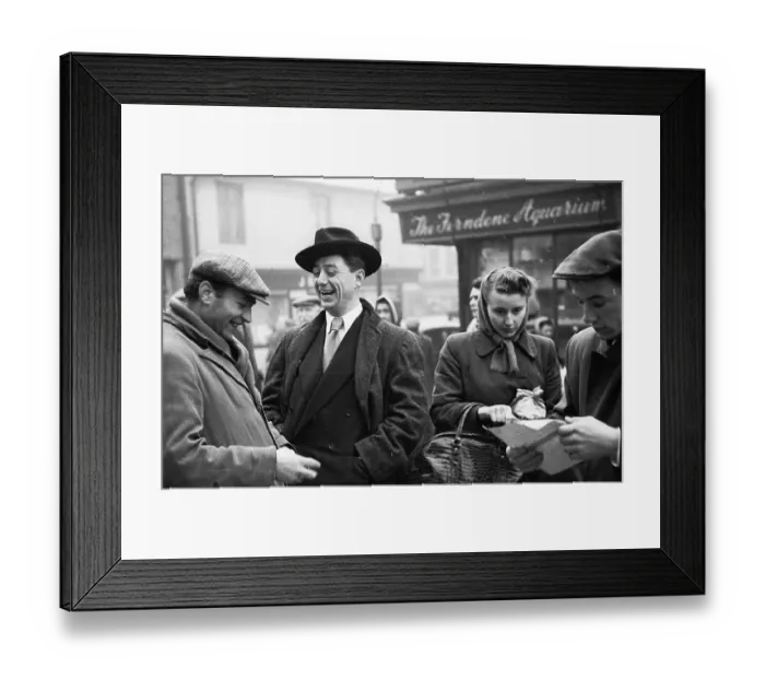 Framed Print : Old Friends Framed Print : Old Friends