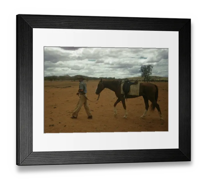 Framed Print : Cattle Stockman Framed Print : Cattle Stockman
