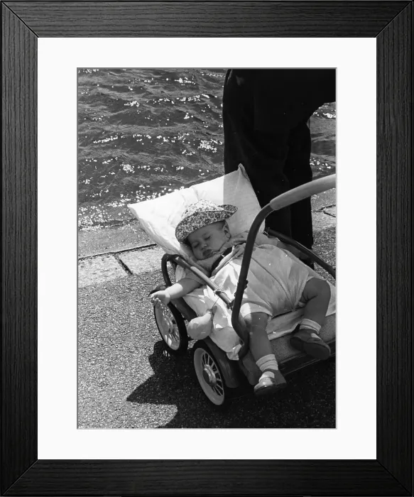 Framed Print : Dead To The World