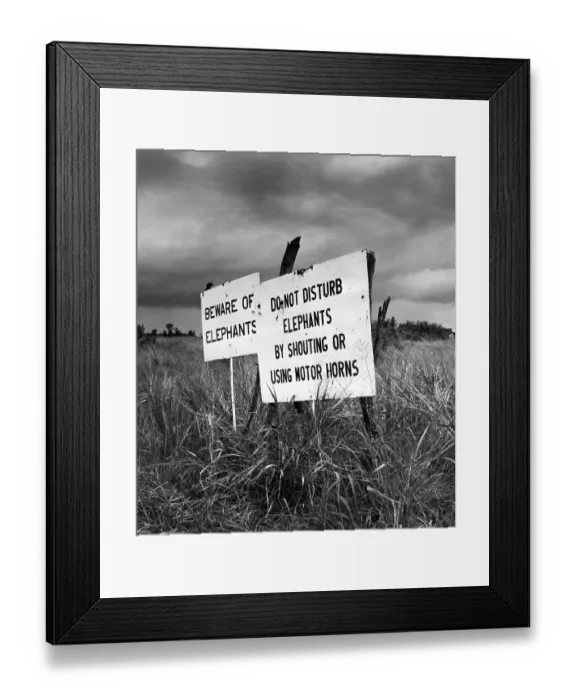 Framed Print : Elephant Warning Framed Print : Elephant Warning