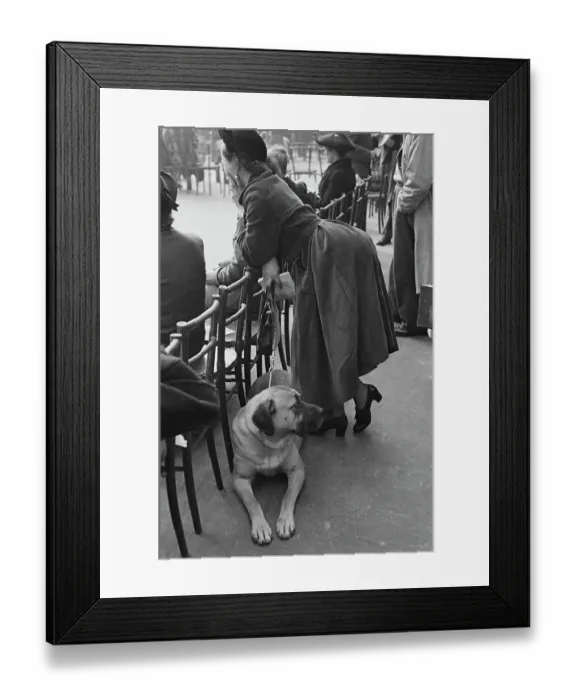 Framed Print : Dog And Owner At Crufts Framed Print : Dog And Owner At Crufts