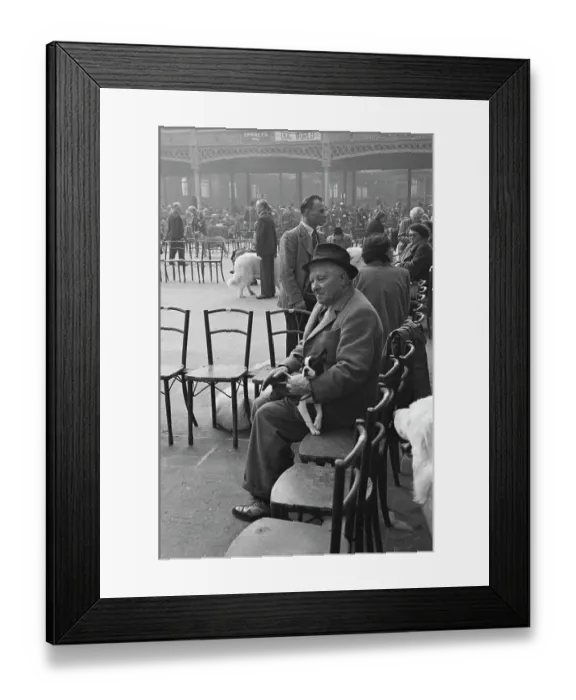 Framed Print : Crufts 1952 Framed Print : Crufts 1952