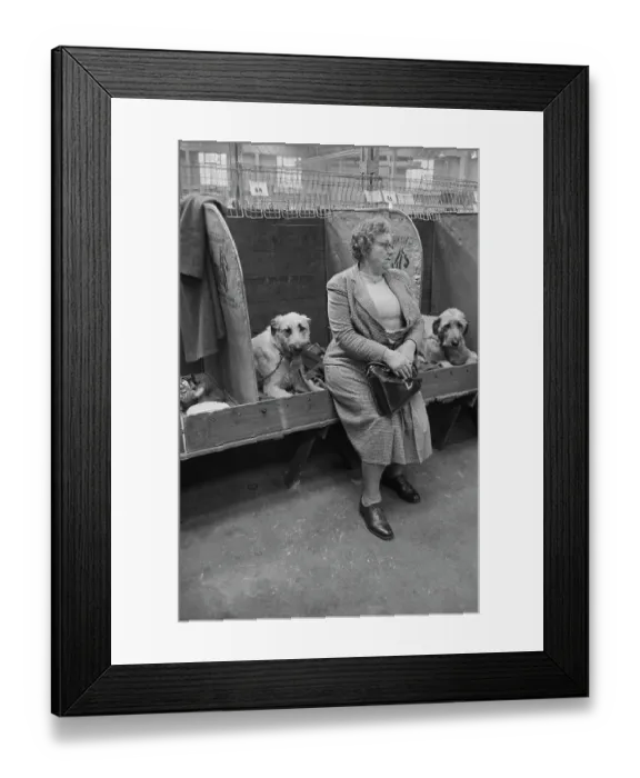Framed Print : Crufts Hopefuls Framed Print : Crufts Hopefuls