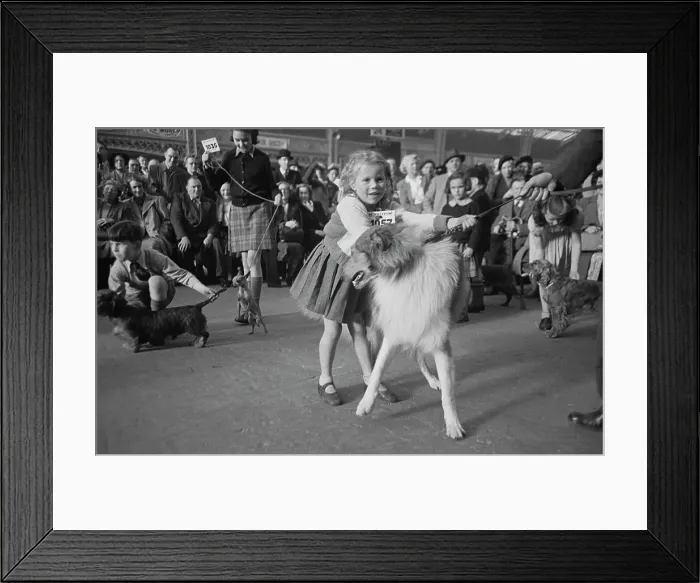Framed Print : Children At Crufts Framed Print : Children At Crufts