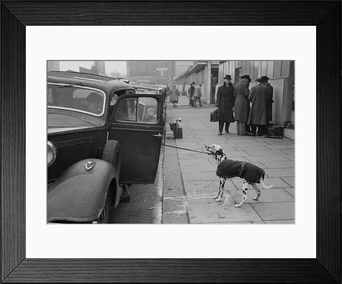 Framed Print : Arrival At Crufts Framed Print : Arrival At Crufts