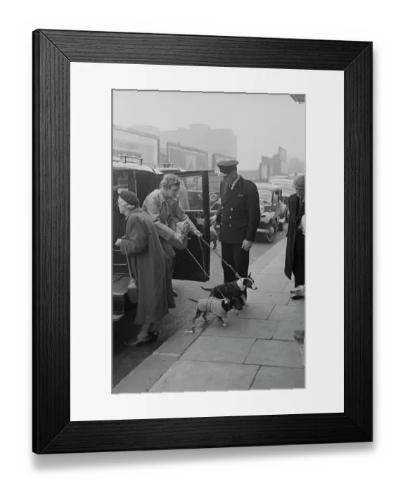 Framed Print : Arriving At Crufts Framed Print : Arriving At Crufts