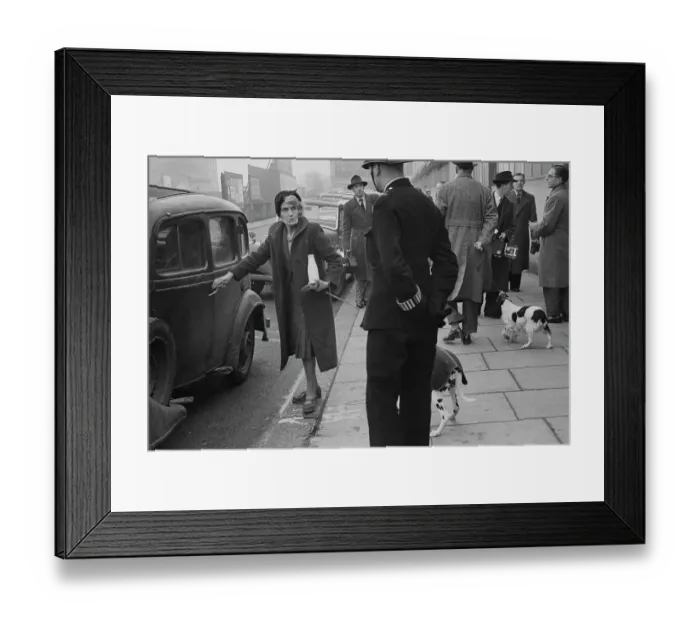 Framed Print : Arrival At Crufts Framed Print : Arrival At Crufts