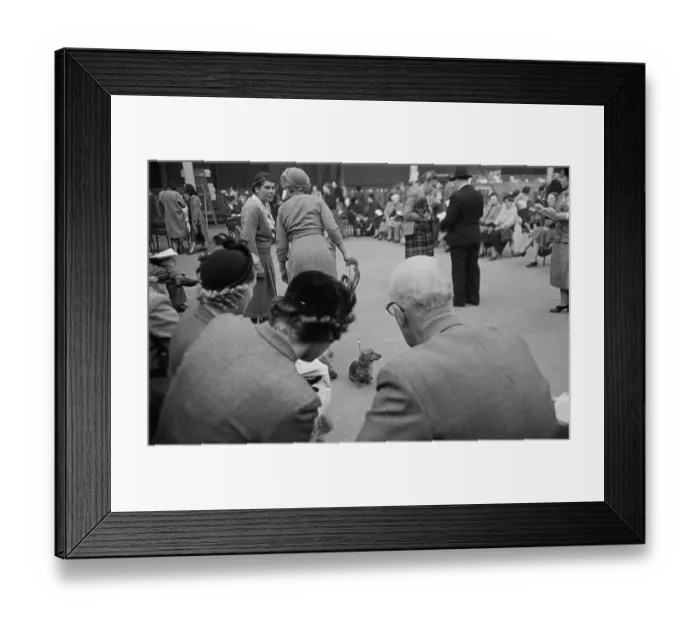Framed Print : Dog Show. Spectators appraising one of the contestants in a dog show, 1952 Framed Print : Dog Show. Spectators appraising one of the contestants in a dog show, 1952