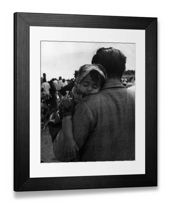 Framed Print : Sleepy Time Framed Print : Sleepy Time