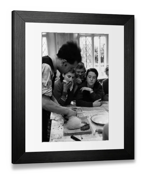 Framed Print : Cock Dressing Framed Print : Cock Dressing