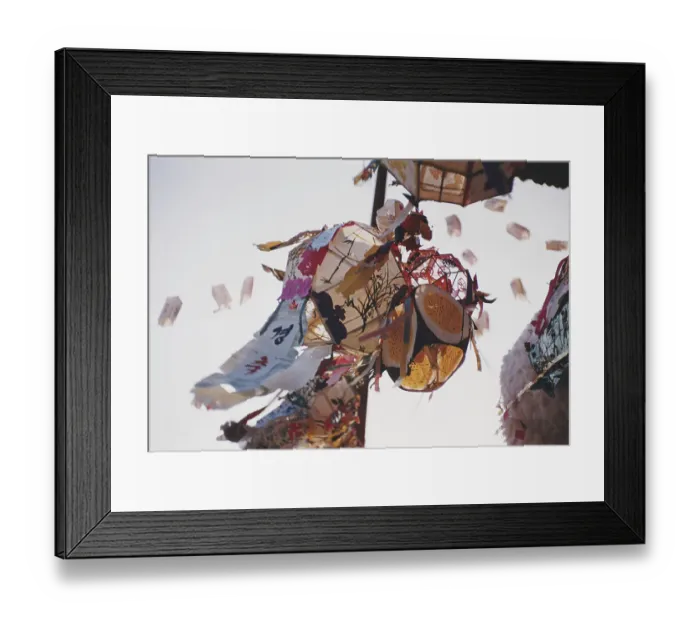 Framed Print : Buddhist Birthday Framed Print : Buddhist Birthday