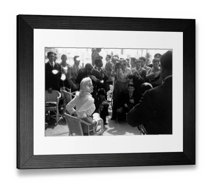 Framed Print : Queen Of Cannes Framed Print : Queen Of Cannes