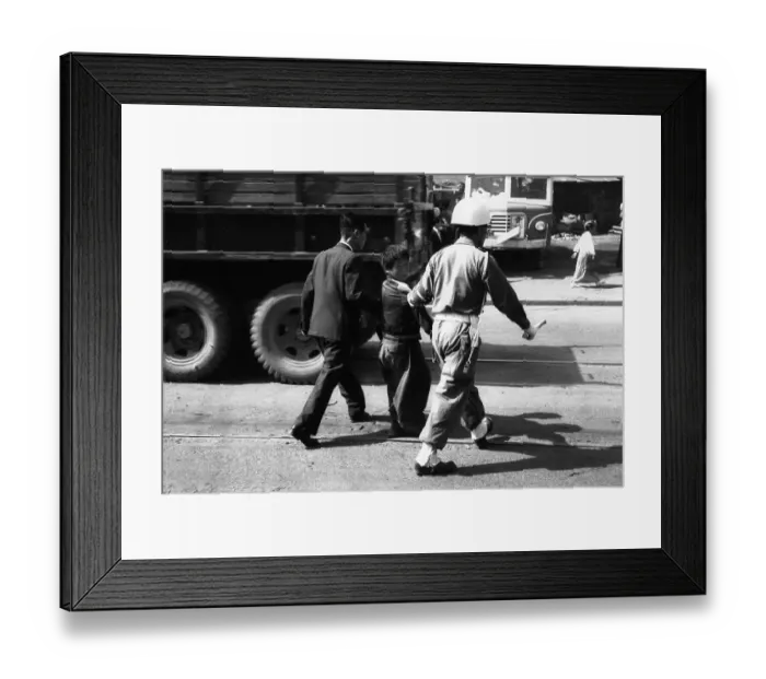 Framed Print : Captured Orphan Framed Print : Captured Orphan
