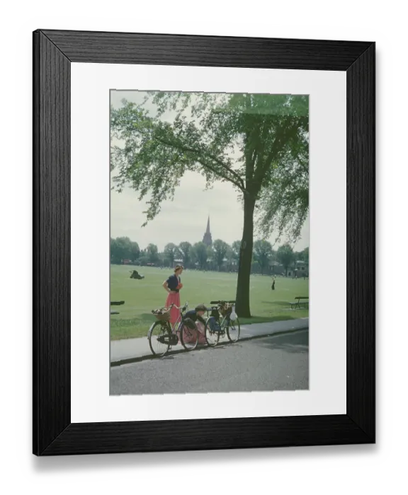 Framed Print : Cambridge Park Framed Print : Cambridge Park