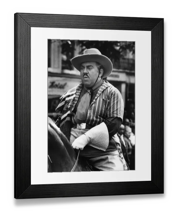 Framed Print : Trapeze Parade Framed Print : Trapeze Parade