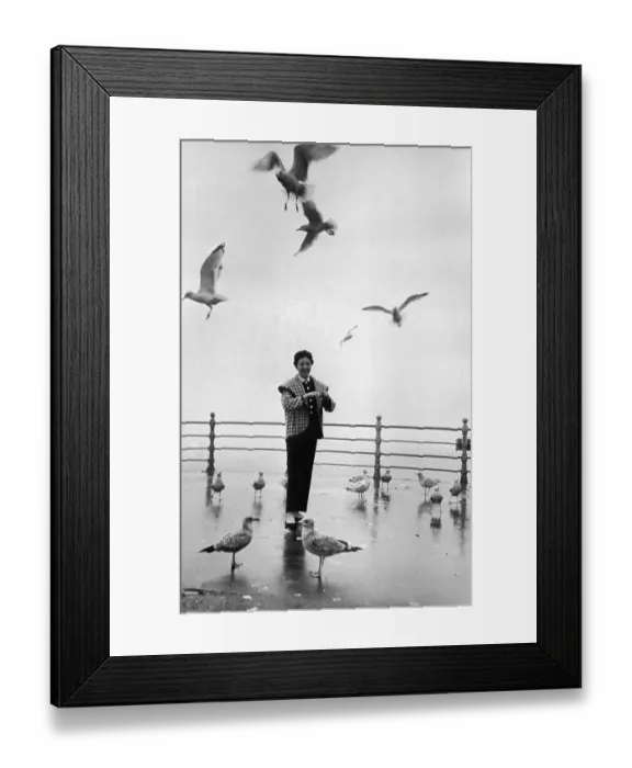 Framed Print : Pamela Senti Framed Print : Pamela Senti