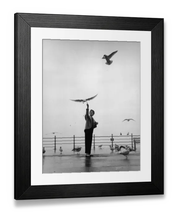 Framed Print : For The Birds Framed Print : For The Birds