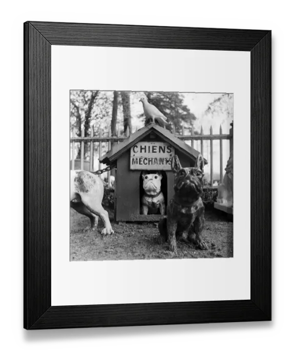 Framed Print : Bad Dogs. 5th June 1954: A garden in France containing some unusual ornaments Framed Print : Bad Dogs. 5th June 1954: A garden in France containing some unusual ornaments