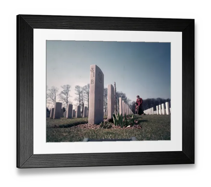Framed Print : Arnhem Cemetery Framed Print : Arnhem Cemetery