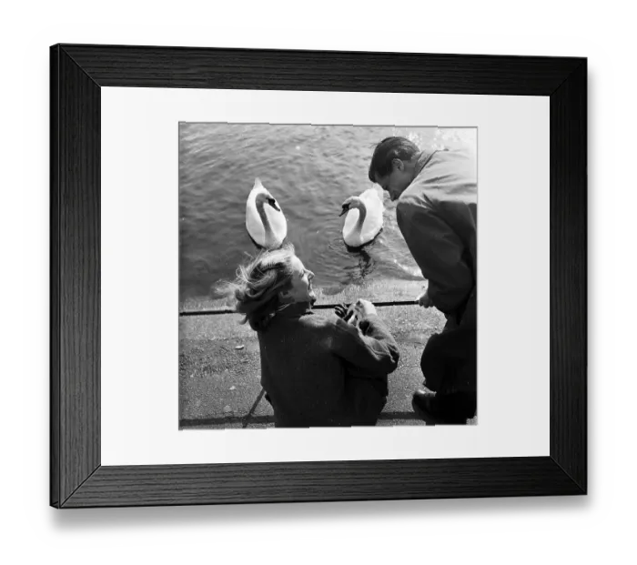 Framed Print : Falling In Love Framed Print : Falling In Love