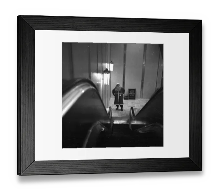 Framed Print : Straight Up Framed Print : Straight Up