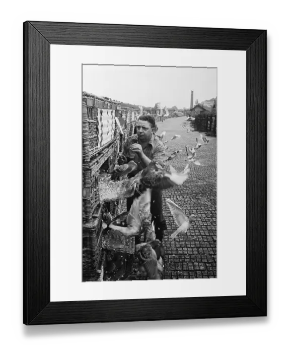 Framed Print : Start Of The Race Framed Print : Start Of The Race