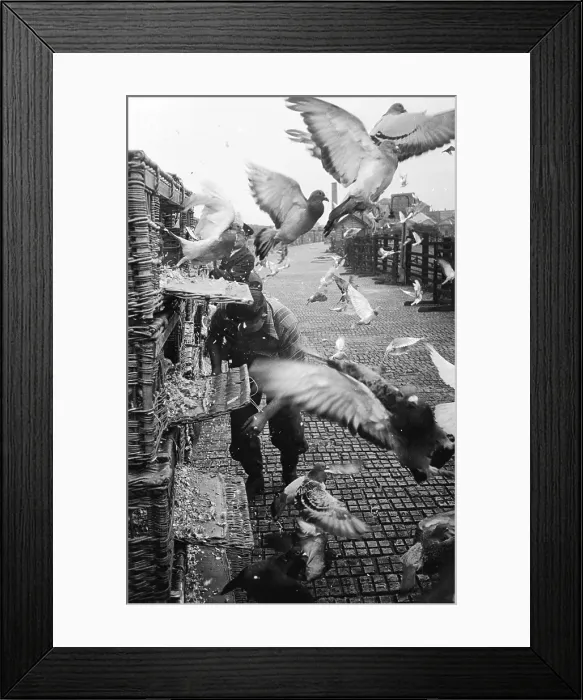 Framed Print : The Word Go Framed Print : The Word Go