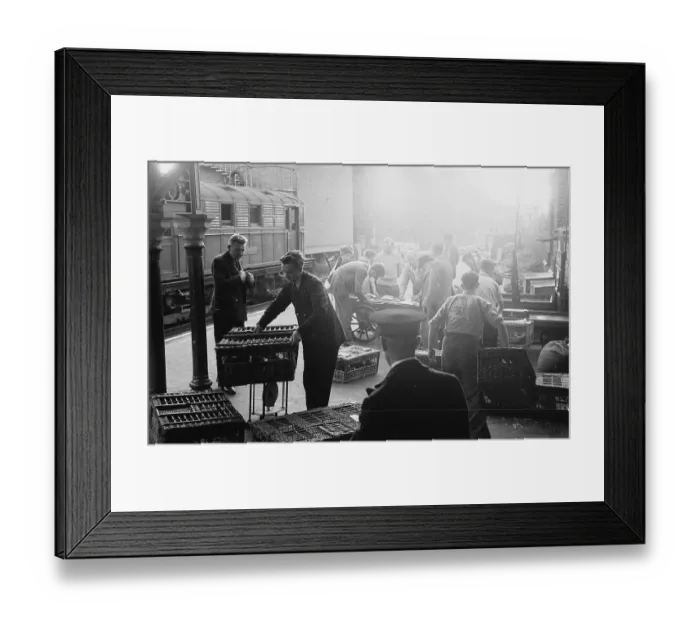 Framed Print : Weighing In