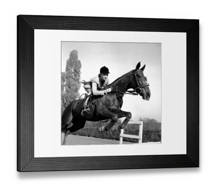 Framed Print : Lady Showjumper Framed Print : Lady Showjumper