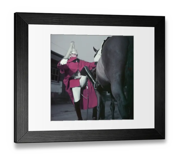 Framed Print : Household Cavalryman Framed Print : Household Cavalryman