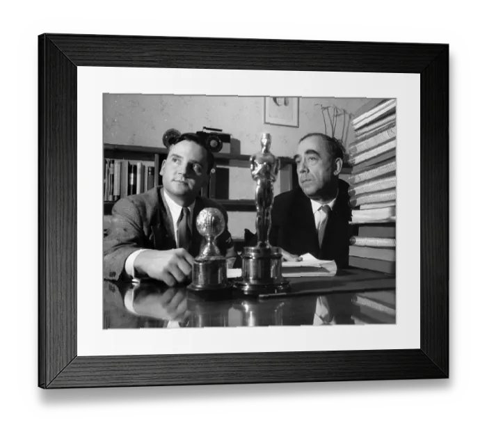 Framed Print : Lazar Wechsler Framed Print : Lazar Wechsler