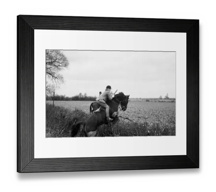 Framed Print : Jumping A Hedge Framed Print : Jumping A Hedge