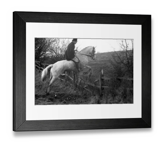 Framed Print : A Pytchley Hunter Framed Print : A Pytchley Hunter