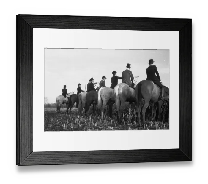 Framed Print : Waiting And Watching Framed Print : Waiting And Watching