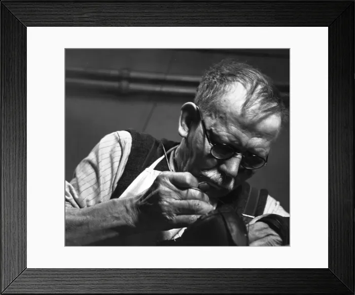 Framed Print : Cobbler. 1953: A cobbler stitching a shoe