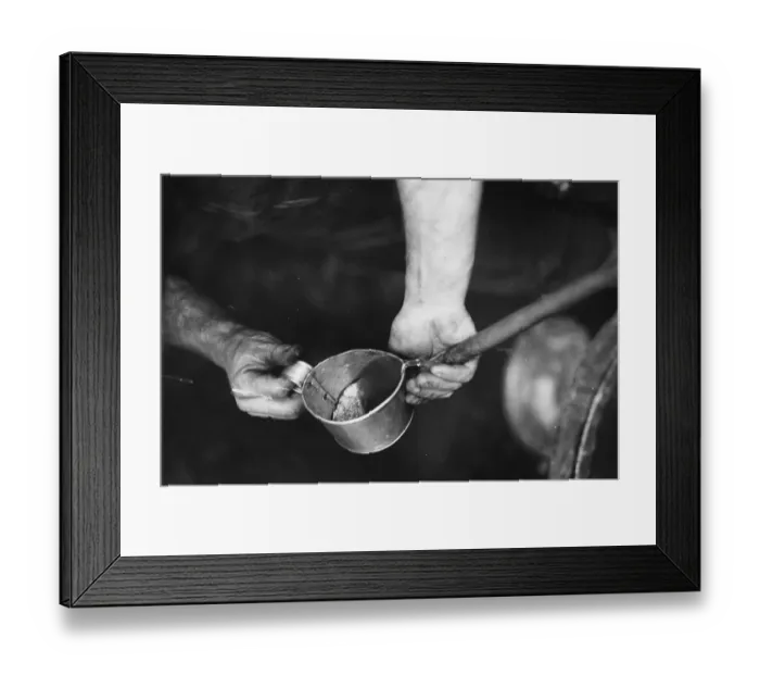 Framed Print : First Taste Framed Print : First Taste