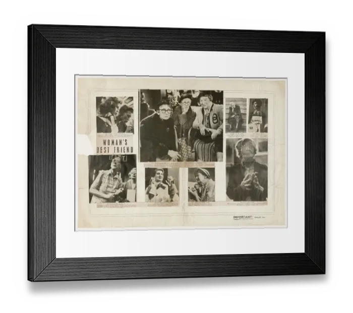 Framed Print : Picture Post Galley - Cat Show Framed Print : Picture Post Galley - Cat Show