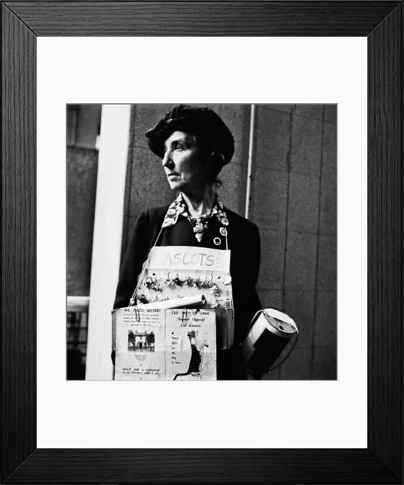 Framed Print : Animal Charity Fundraiser Framed Print : Animal Charity Fundraiser