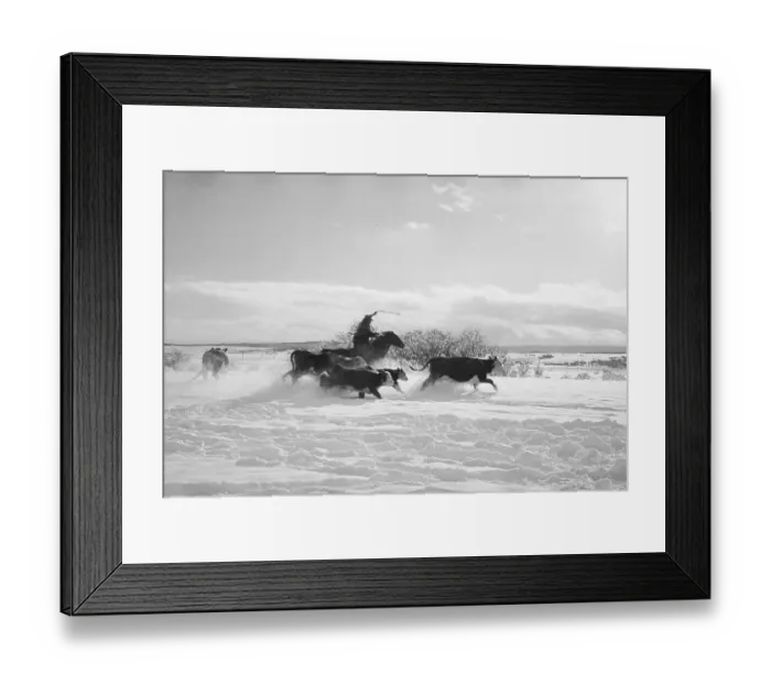 Framed Print : Canadian Rancher