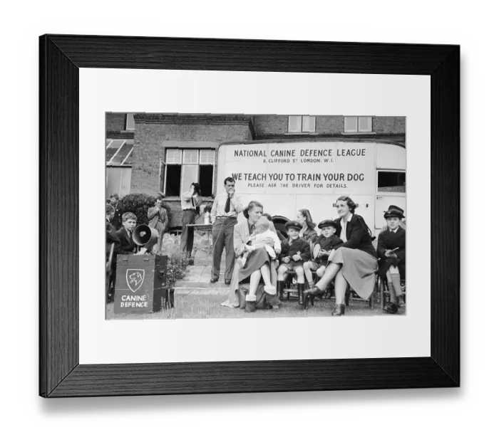 Framed Print : Dog Training School Framed Print : Dog Training School
